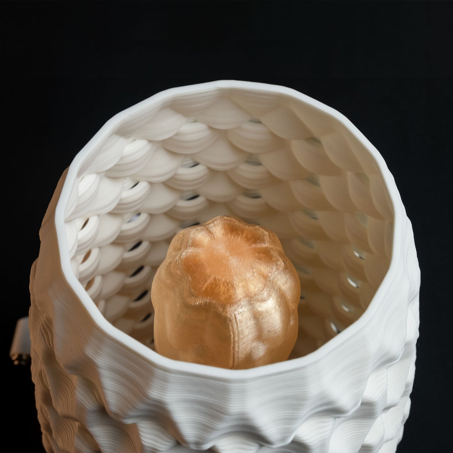 Fracta lamp